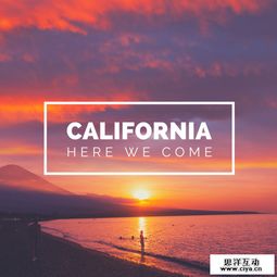 社交論壇廣告設(shè)計(jì)如何脫穎而出 創(chuàng)意與用戶體驗(yàn)的雙重奏