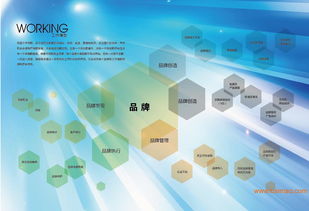 沈陽(yáng)品牌設(shè)計(jì)策劃全鏈條服務(wù) 從VI、畫(huà)冊(cè)到店面裝修與互聯(lián)網(wǎng)營(yíng)銷的整合方案